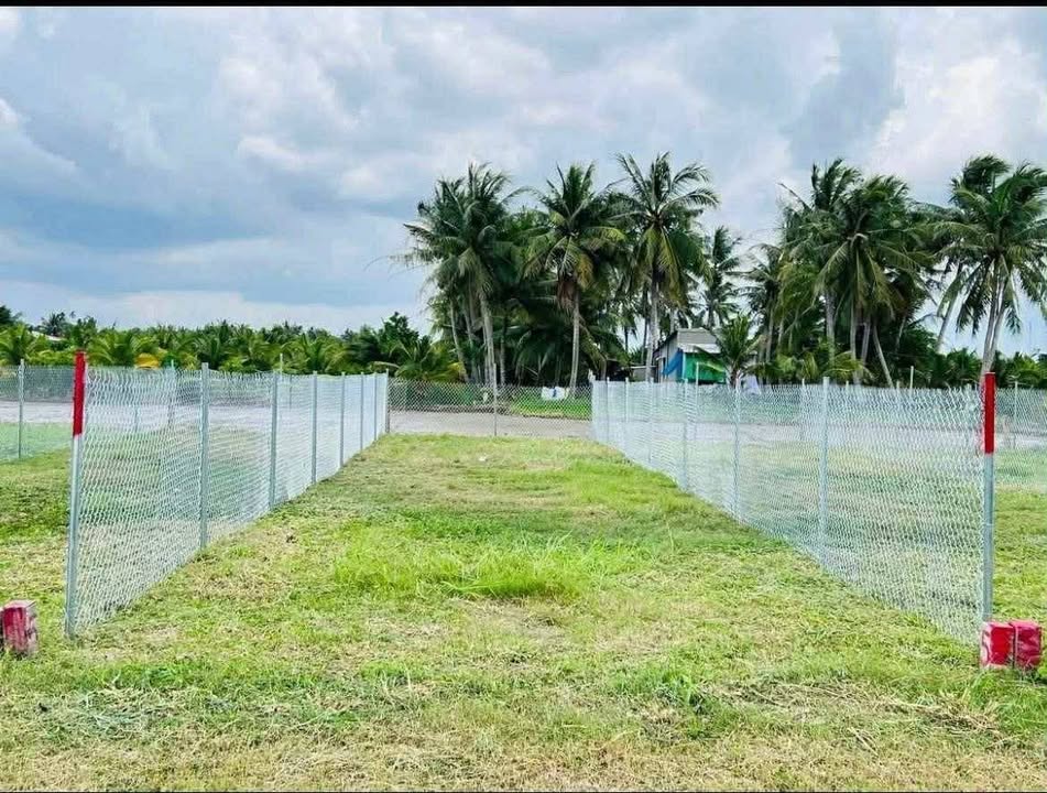 Đất nền KP5, Thị trấn Vĩnh Bình, 110m² giá 550 triệu - Sổ hồng chính chủ!