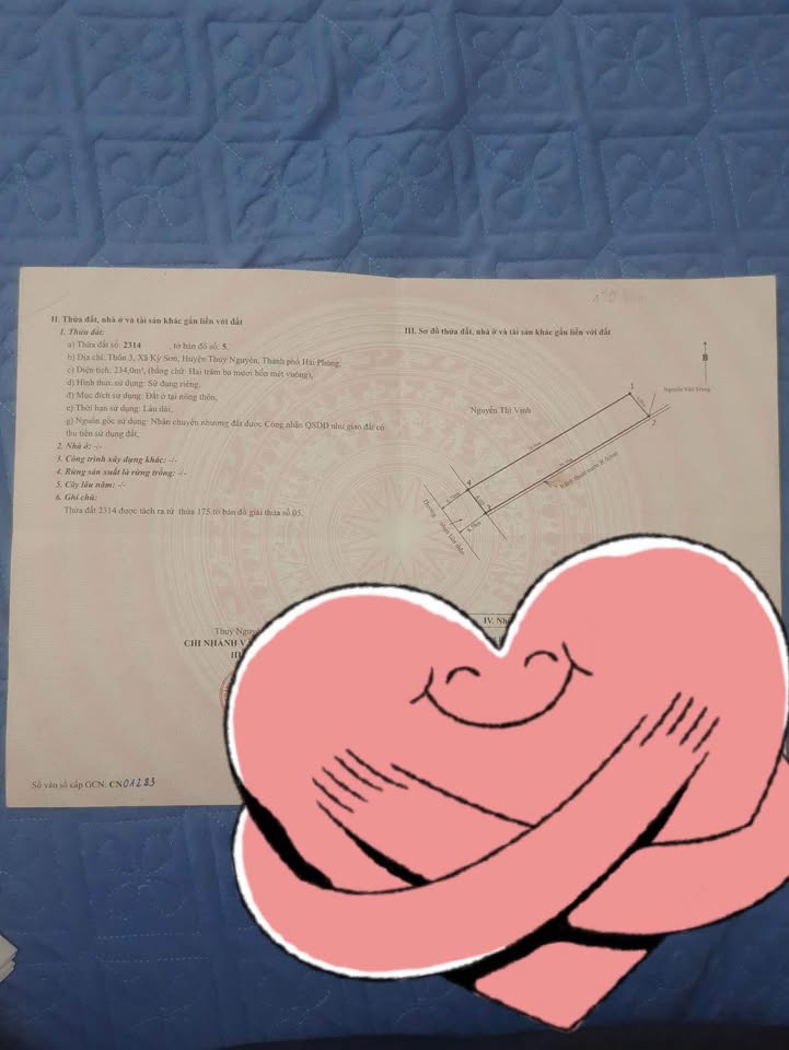 Đất nền Thủy Nguyên, Hải Phòng 234m² giá 2.34 tỷ - Cơ hội đầu tư sinh lời!