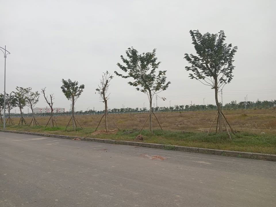 Đất nền KCN Bình Xuyên Vĩnh Phúc 8000m² - Cơ hội đầu tư hấp dẫn!