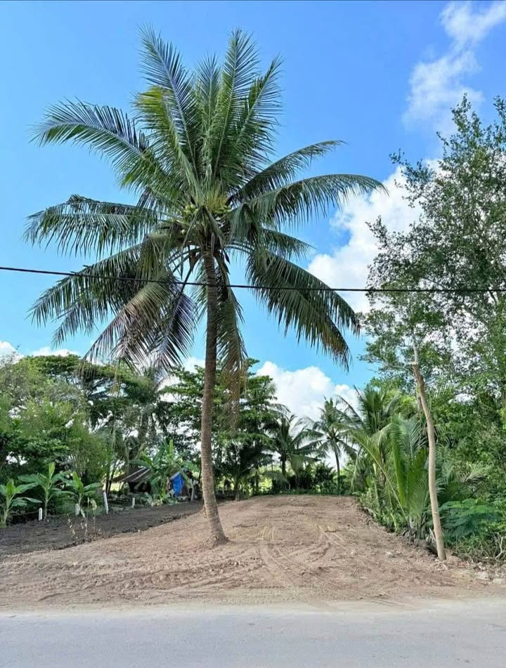 Đất mặt tiền Phạm Hùng, P8 TP Sóc Trăng 440m² giá 3.5 tỷ - Cơ hội đầu tư tuyệt vời!