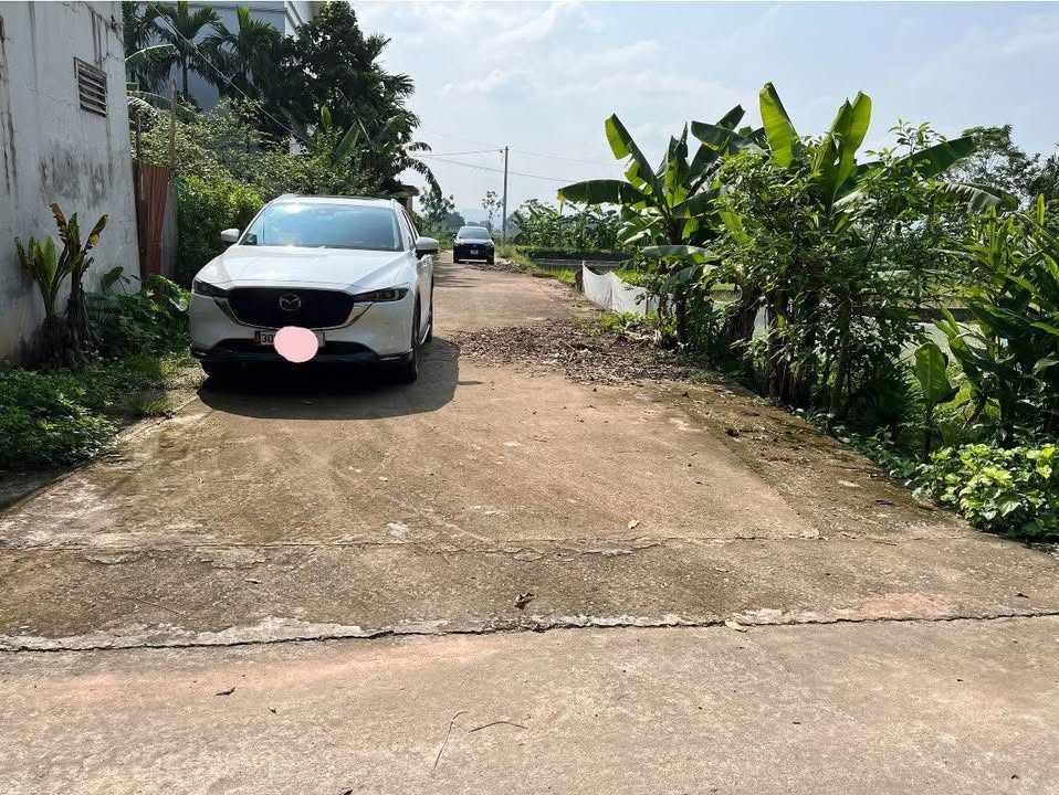 Đất đấu giá Vạn Kim, Hương Sơn, Hà Nội 99m² chỉ 1 tỷ - Cơ hội đầu tư hấp dẫn!