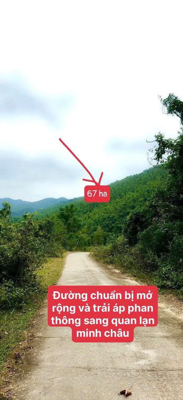 Đất rừng sản xuất 67.000m² tại Minh Châu, Vân Đồn - Giá chỉ 2 tỷ, đầu tư tiềm năng!