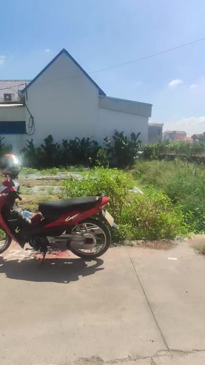 Đất nền xã Đức Chính, Cẩm Giàng 60m² giá chỉ 1 tỷ - Tiềm năng sinh lời cao!