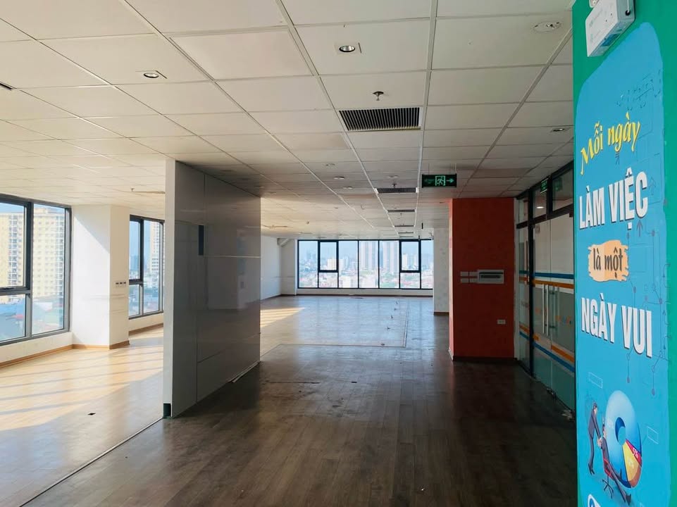Cho thuê văn phòng Sao Mai Building 100m² - 450m² giá chỉ 15$/m² - Giao thông thuận lợi!