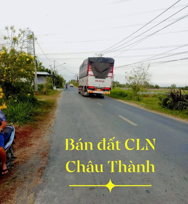 Đất nền mặt QL54 xã Mỹ Chánh 1292m² - Tiềm năng đầu tư sinh lời