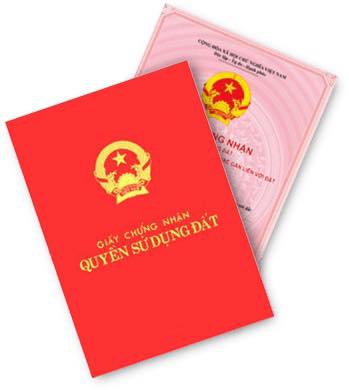 Đất nền mặt tiền Kênh Trung Ương, Bình Tân 5000m² giá 21 tỷ - Sổ hồng riêng chính chủ!