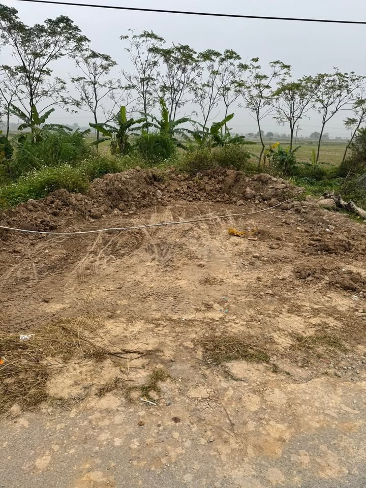 Lô đất Tiêu Hạ Bắc, Bình Lục 129m² - Chính chủ bán gấp!