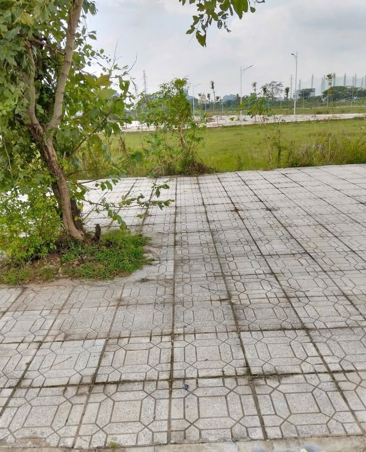 Đất thổ cư 90m² mặt tiền Quốc lộ 1A Hoằng Phú - Đầu tư sinh lời ngay!