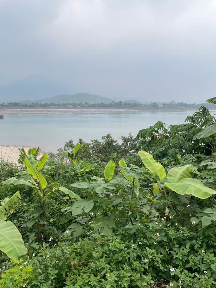 Đất thổ cư 200m² mặt tiền TL 317A - Giá chỉ 2.5 tỷ - Cơ hội đầu tư tuyệt vời!