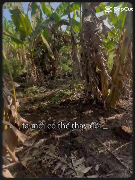 Đất nền 1 mẫu 8 Phú Tân, Định Quán 2.763 tỷ - Cơ hội đầu tư hấp dẫn!