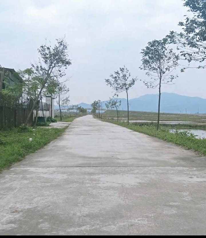 Đất nền Tân Mỹ Triều Thạch 119m² giá 1.2 tỷ - Đường rộng, giao thông thuận lợi!