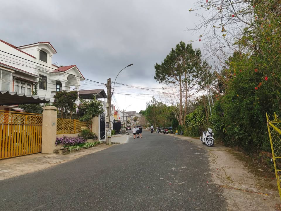 Cho thuê khu nhà gỗ sân vườn và mặt bằng cà phê tại Đà Lạt - Phù hợp kinh doanh