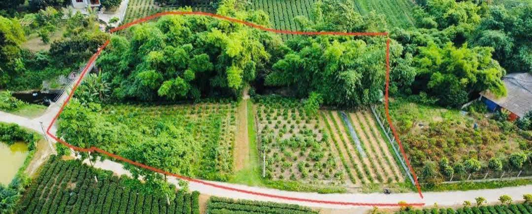 Lô đất Vô Tranh, Phú Lương 728m² giá chỉ từ 800 triệu - View suối tuyệt đẹp!