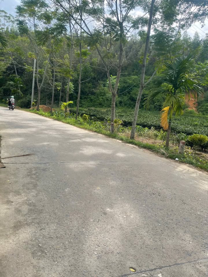 Đất thổ cư 383m² mặt tiền 10m tại Giang Tiên - Giá chỉ hơn 1 tỷ!