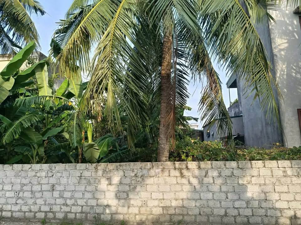 Lô đất Quảng Phú 187m² giá 2.6 tỷ - Chính chủ cần bán gấp!