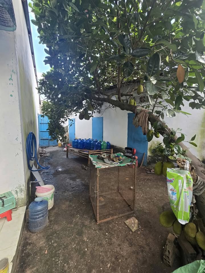 Đất Thới Hòa Bến Cát 207m² giá 2 tỷ - Sẵn sàng đầu tư với dãy trọ thu nhập 6 triệu!