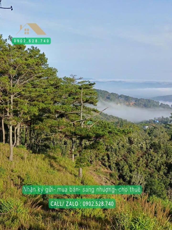 Đất Đỉnh Đồi Săn Mây Xuân Trường 7500m² giá 19 tỷ - View núi non tuyệt đẹp!