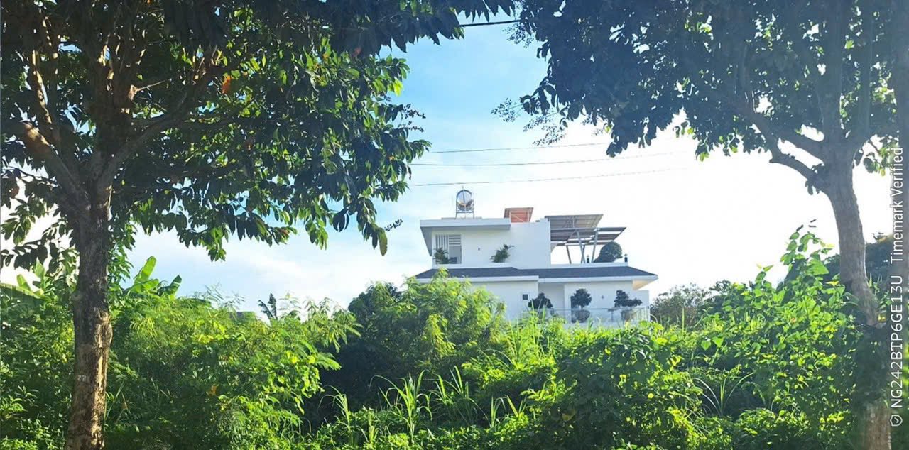 Đất nền 100m² KDC Chợ Chùa Bến Tre giá 3.3 tỷ - Kinh doanh sầm uất ngay mặt tiền!