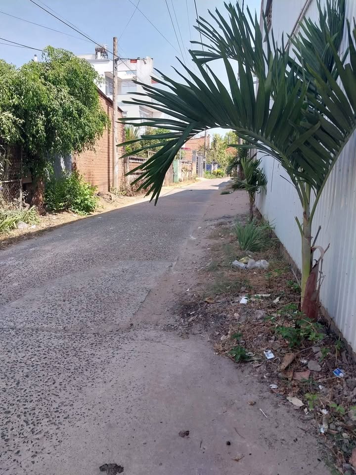 Đất thổ cư 628m² tại Xã Phú Xuân, Huyện Tân Phú - Chỉ 1.2 tỷ, cơ hội hiếm có!