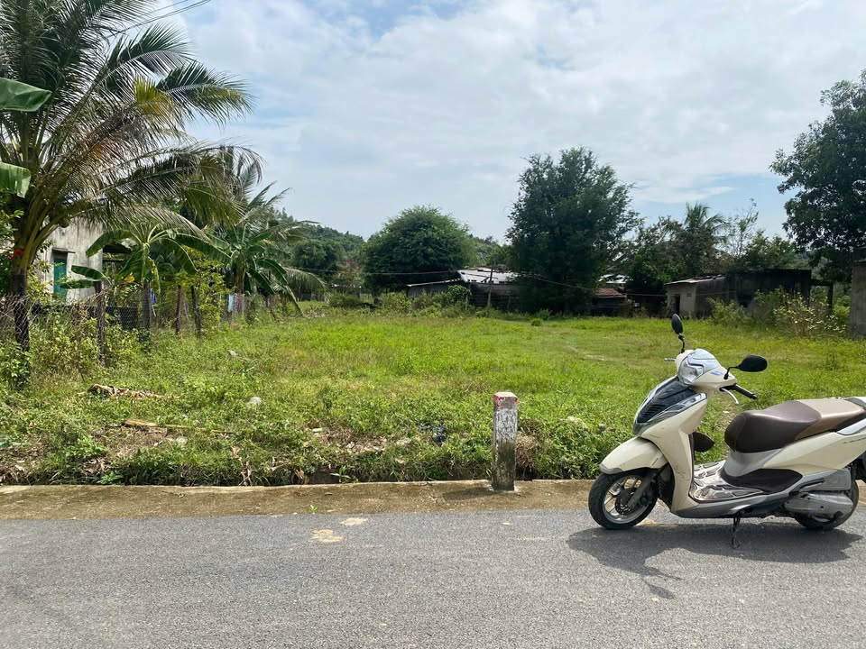 Đất nền Cam An Bắc 444m² giá 1.6 tỷ - Hướng Nam, khu vực an ninh tốt