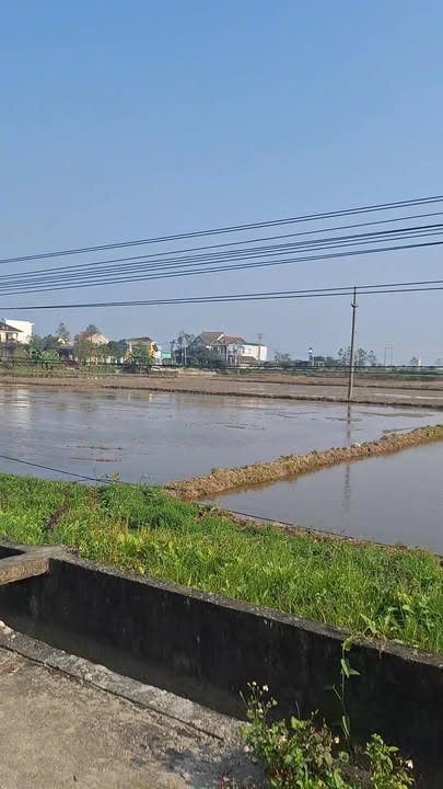 Đất nền Cẩm Vịnh, Cẩm Xuyên 140m² giá 1 tỷ - Đầu tư sinh lời ngay!