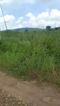 Đất nền 3ha xã Tân Lập, Huyện Hàm Thuận Nam, giá 3 tỷ - Cơ hội đầu tư tuyệt vời!