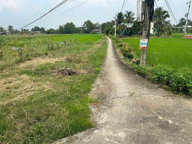 Đất nền xã Đức Tân, huyện Tân Trụ 2000m² giá 1.25 tỷ - Cơ hội đầu tư hấp dẫn!