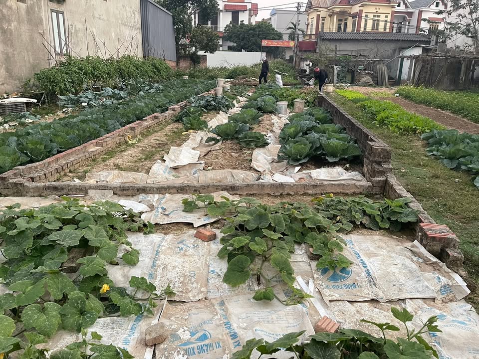 Đất thổ cư tại Hương Đình, Sóc Sơn 71m² - Giá đầu tư siêu đẹp!