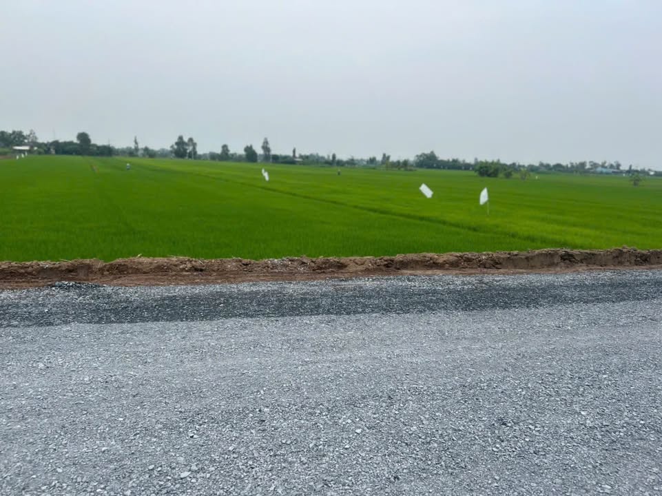 Đất nông nghiệp mặt tiền tỉnh lộ 864, Gò Công Tây, 12.000m² - Cơ hội đầu tư sinh lời!