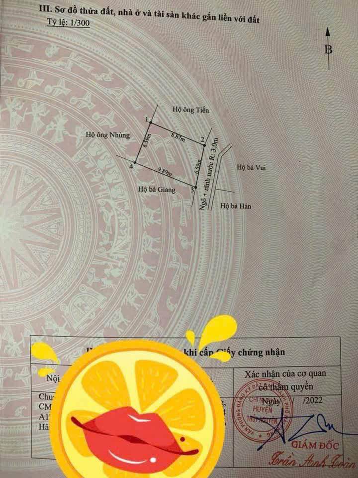 Đất nền 61m² Đông Phương - Kiến Thụy giá 1.1 tỷ - Đường lớn thuận tiện