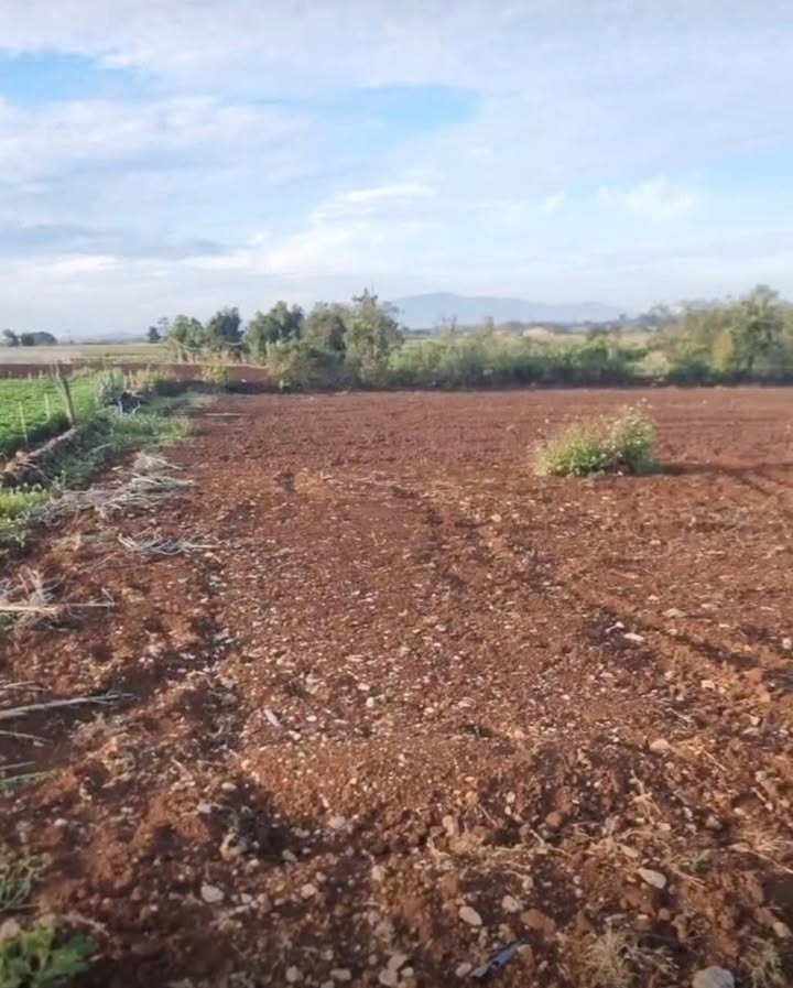 Đất nền 3 sào tại Đất Đỏ - Giá chỉ 1.8 tỷ - Cơ hội đầu tư tuyệt vời!