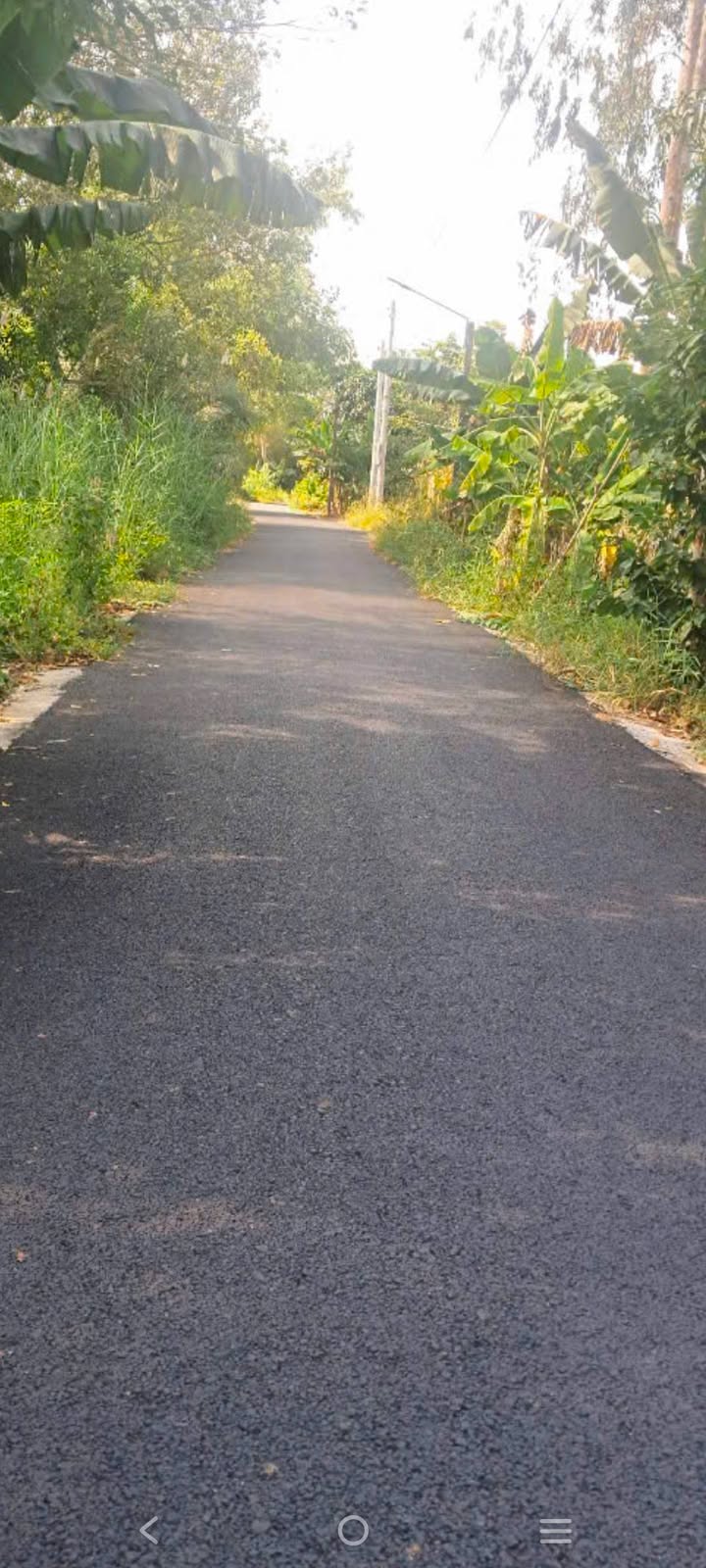 Đất thổ cư 300m² tại xã Mỹ Ngãi - Giá chỉ 550 triệu, sẵn sàng đầu tư!