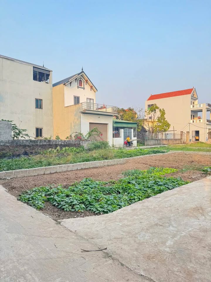 Đất nền Xóm 2, Xã Chương Dương 456.56m² giá 5.112 tỷ - Vị trí sầm uất, tiện ích đầy đủ!