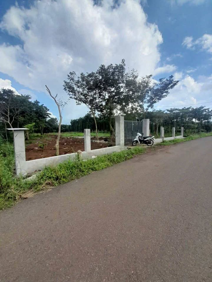 Đất nền 2900m² xã Xuân Sơn, Châu Đức, Bà Rịa - Vũng Tàu chỉ 2.1 tỷ - Cơ hội đầu tư tuyệt vời!