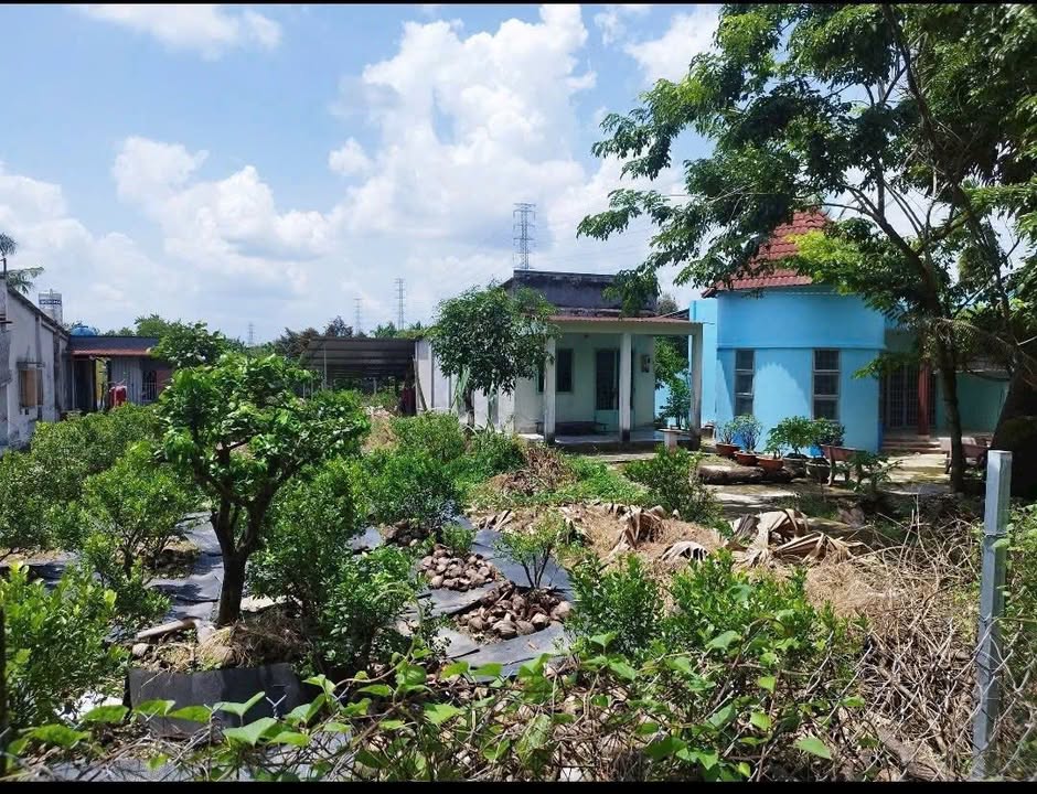 Đất mặt tiền xã Bình Mỹ 332m² giá 3.3 tỷ - Đầu tư sinh lời ngay!