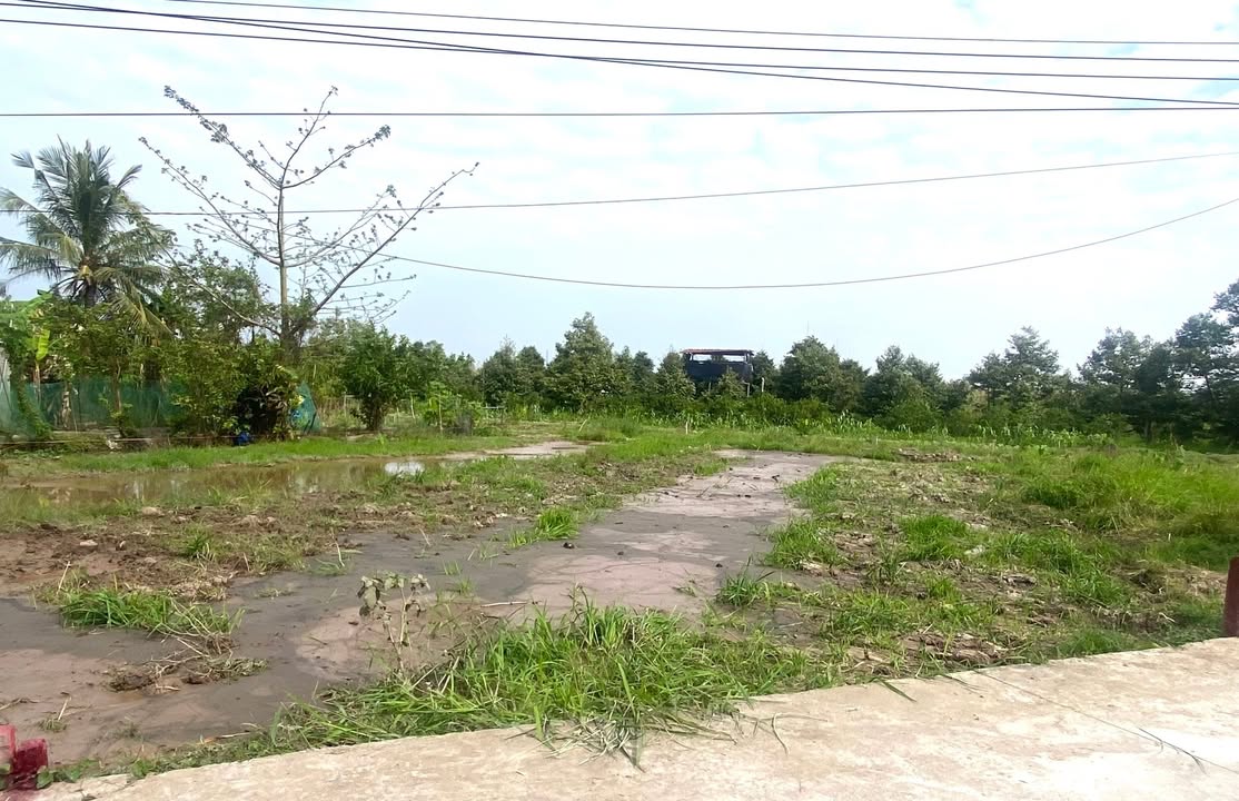 Đất nền Nhơn Nghĩa Phong Điền 137m² giá 590 triệu - Đầu tư sinh lời ngay!