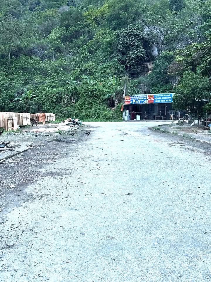 Đất thổ cư 125m² tại khu tái định cư cửa khẩu Thanh Thủy - Giá rẻ bất ngờ!