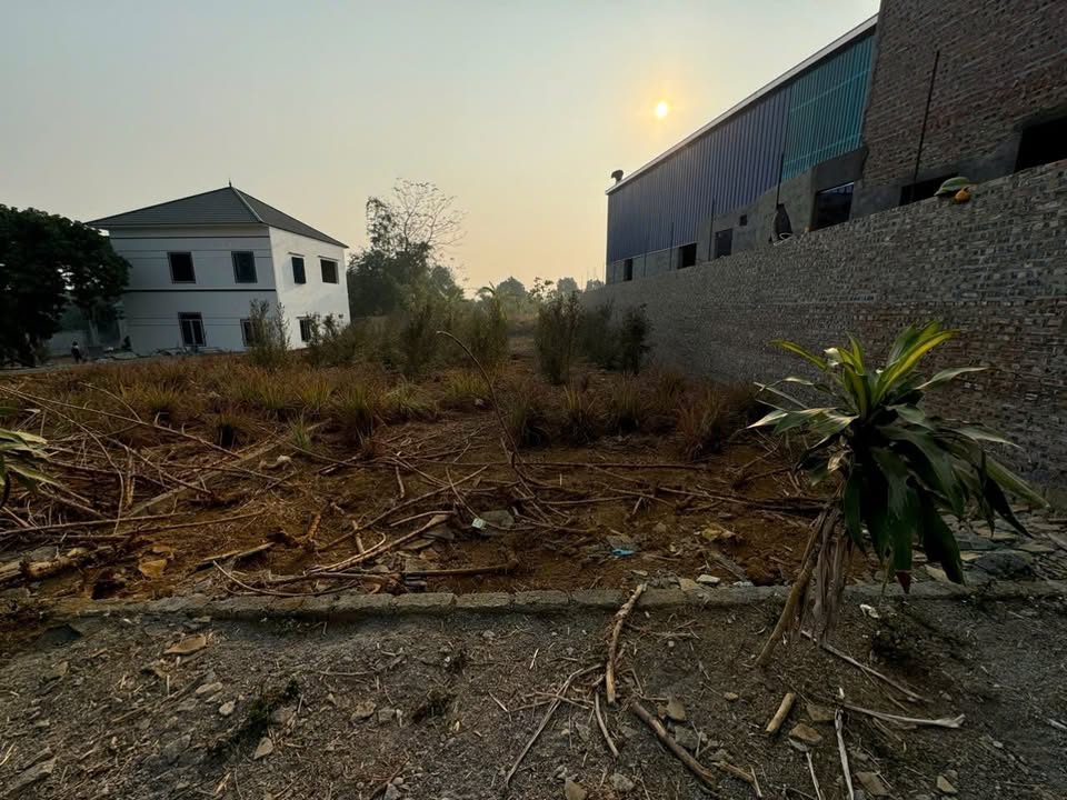 Đất nền 62m² tại Yên Thái, Phú Cát chỉ 1 tỷ - Cơ hội vàng đầu tư!