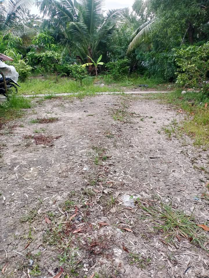 Đất nền thổ cư 1120m² tại xã Nam Thái, huyện An Biên - Giá chỉ 4.48 tỷ VND!