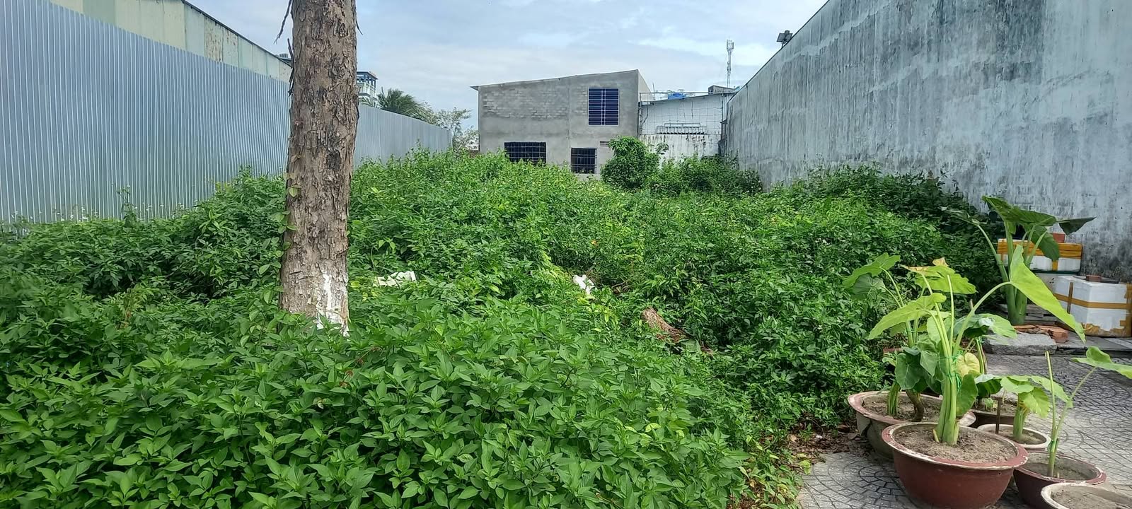 Nhà mặt tiền Trần Văn Giàu, Rạch Giá 125m² giá 2 tỷ - Đầu tư sinh lời ngay!