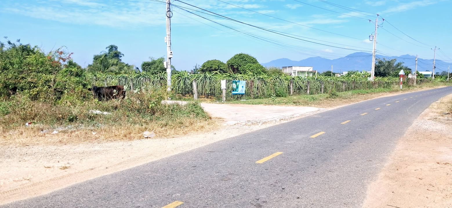 Đất nền 1 sào tại Hàm Liêm - Mặt tiền bê tông 47m, giá chỉ 690 triệu!