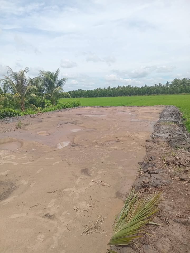 Đất thổ cư Tân An Hội, Mang Thít 195m² chỉ 460 triệu - Cơ hội đầu tư vàng!