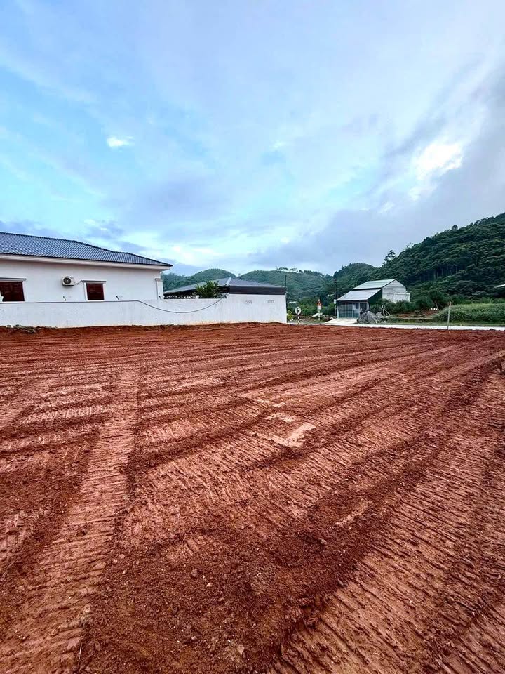 Đất nền Bản Cầm, Lào Cai 1000m² giá 600 triệu - Đầu tư sinh lời cao ngay mặt đường QL70!