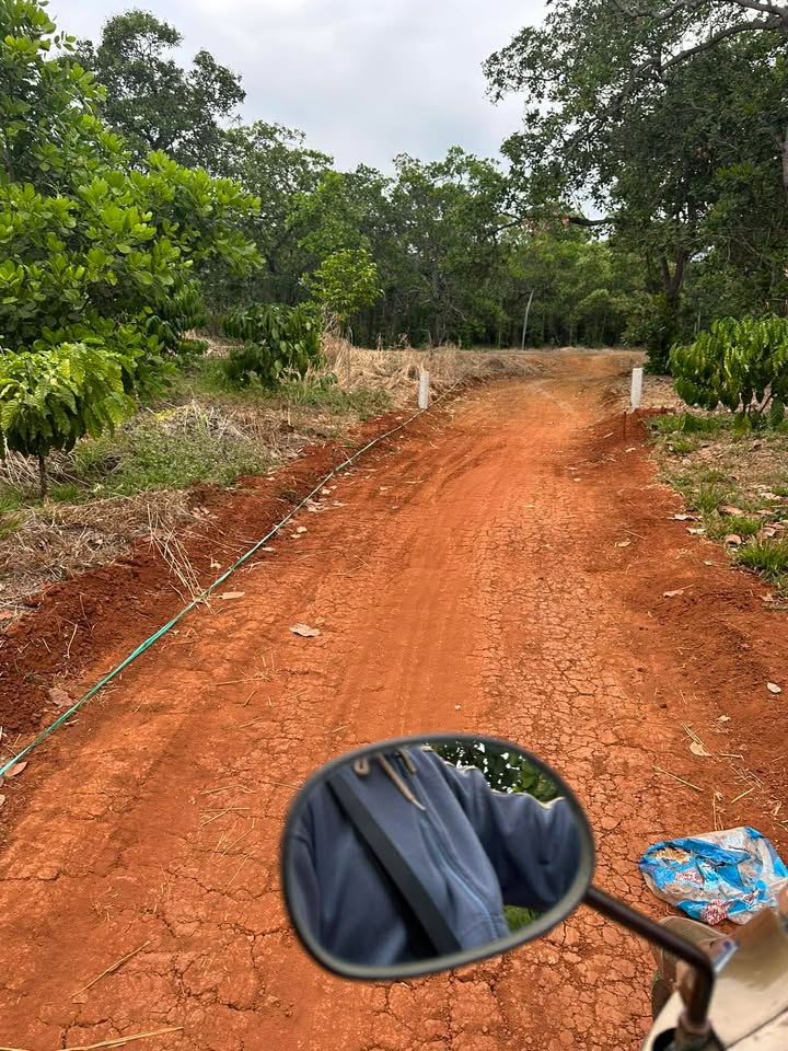 Đất nông nghiệp Bù Gia Mập 4,2ha giá 5,25 tỷ - Đầu tư sinh lời tiềm năng!