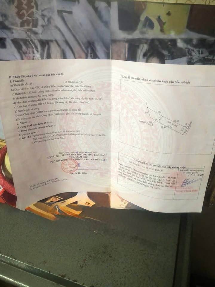 Đất nền Đồng Tiến Yên Thế Bắc Giang 150m² giá chỉ từ 200 triệu - Đầu tư sinh lời ngay!