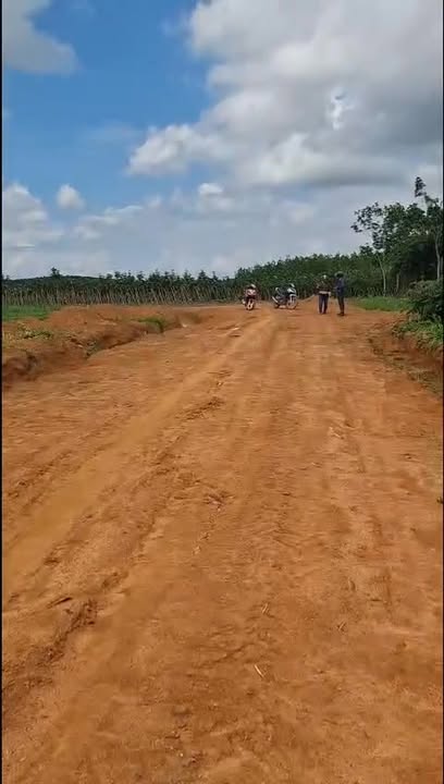 Đất sạch 430.000m² tại xã Cư M'Lan, giá chỉ 11.22 tỷ - Cơ hội đầu tư tuyệt vời!