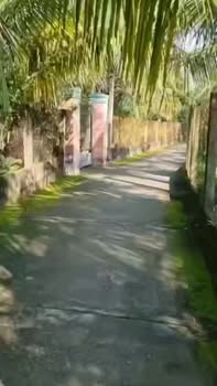 Đất nền Nhị Mỹ, Cai Lậy 180m² giá 690 triệu - Giảm giá bán gấp!