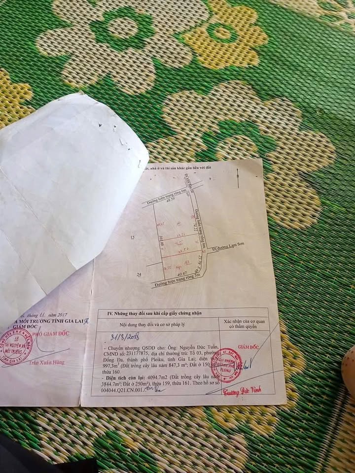 Đất thổ cư 400m² tại Lam Sơn, Xã Biển Hồ - Giá 6 tỷ, cơ hội đầu tư tuyệt vời!