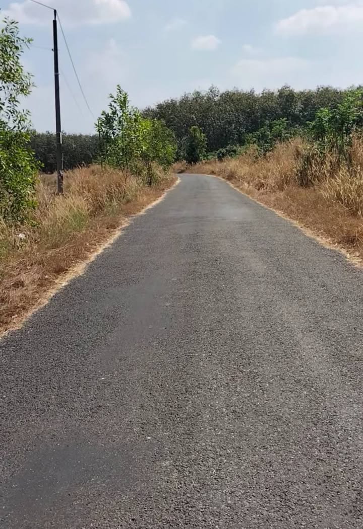 Đất nền Lộc Thịnh 4320m² giá 700 triệu - Cơ hội đầu tư tuyệt vời!