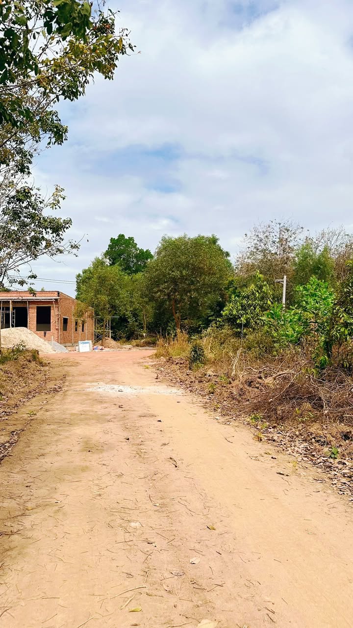 Đất nền An Điền Bến Cát 350m² giá 870 triệu - Đầu tư sinh lời ngay!